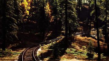 CGI Autumn landscape with railway tracks winding through dense forest video