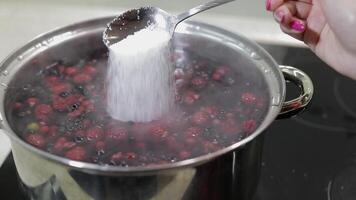 Berries in pot with boiling water. Adding sugar. Cooking compote. Kitchen. video