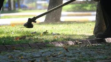 Lawn maintenance and grass trimming in a park setting video