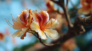Vivid flower wallpaper showing deep beautiful detail and soft color photo