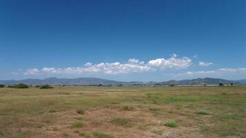 Photorealistic image of summer countryside landscape photo