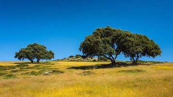Bright and sharp photo of summer countryside