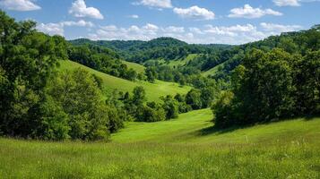 High resolution photo of summer countryside scenery