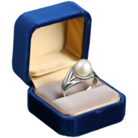 High-End Pearl Ring with Golden Cushion Display Proposal Image png