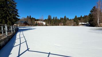 A serene frozen lake, still and peaceful, surrounded by tall trees, showcasing winters tranquil beauty photo
