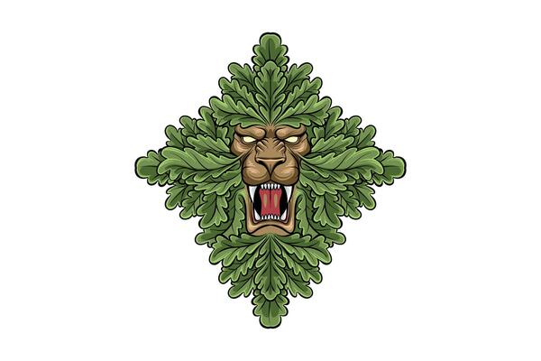 illustration of a lion's face with oak leaves around it