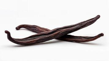 Isolated Fresh Dried Vanilla Sticks Closeup photo