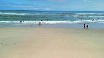 Enjoy a wonderfully serene beach scene that features gentle waves lapping at the shore and sunbathers relaxing photo