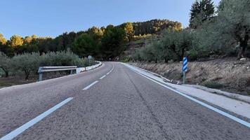 Take a scenic drive along a stunning winding road that is beautifully surrounded by verdant greenery and olive trees photo
