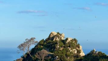 A stunning view of a breathtaking coastal mountain, surrounded by lush greenery and clear blue skies photo