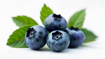 White bowl filled with blueberries isolated on a white background. For food, nutrition, and healthy eating concepts. photo