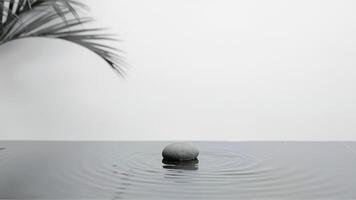A single smooth stone sits in the center of still water, creating gentle ripples. Suitable for meditation or relaxation themes. photo