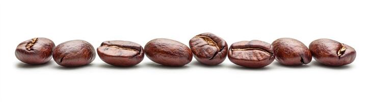 Roasted coffee beans in a neat horizontal row photo