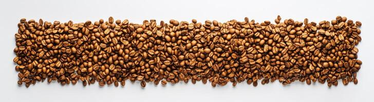 Roasted Coffee Beans Arranged In A Row photo