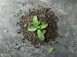 Fresh Mint Sprig on a Bed of Loose Leaf Tea photo