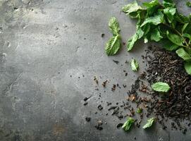 Fresh Mint Leaves and Loose Leaf Tea on Grey Surface photo