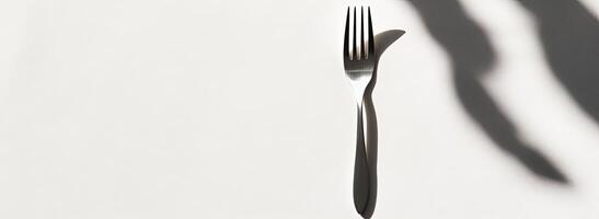 Silver Fork Casts Shadow On White Background photo