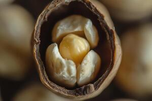 A Single Kernel of Corn Inside Its Husk photo
