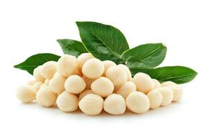Macadamia nuts and fresh green leaves displayed photo