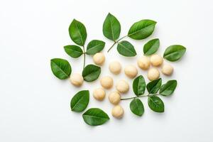 Macadamia nuts and leaves arranged artistically on white background photo