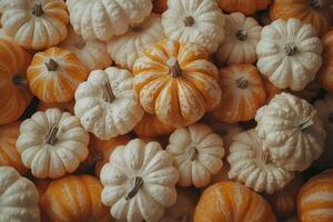 A Collection Of Autumnal Pumpkins And Gourds photo