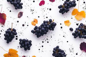 Dark Grapes and Autumn Leaves Arranged on White Background photo
