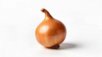 A single brown onion is isolated on a white background for use in food, cooking, or nutrition contexts. Onion for educational, commercial, collages or design purposes. photo