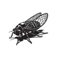 Cicada Beetle Insect Icon on White Background. vector