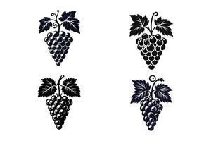 Black and White Grape Icon Set with Silhouette Style Illustration vector