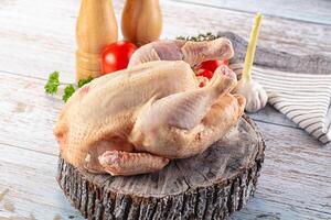 A chicken on a wooden table with a knife and a tomato photo