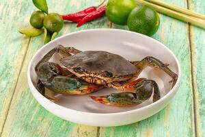 A crab sitting in a bowl on a table photo