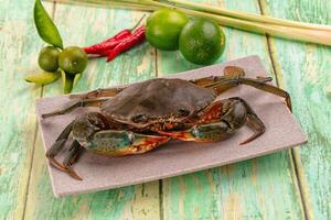 A crab on a plate with some vegetables and lime photo