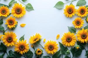 Sunflowers forming a frame with copy space on a light blue background photo