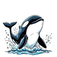 Vsai killer whale jumping and splashing in the ocean vector