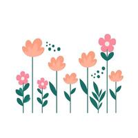 Orange and pink Windflowers Illustration with Minimal Flat Design of Spring Wildflowers vector