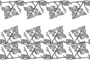 Line art botanical floral horizontal seamless border with grapevine pattern isolated on white background. Hand drawn outline vine plant with stem and leaves illustration. Graphic design elements vector