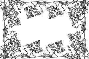 Line art botanical floral frame with grapevine isolated on white background. Hand drawn outline vine plant with long stem and leaves illustration. Graphic design element for Birthday Wedding vector