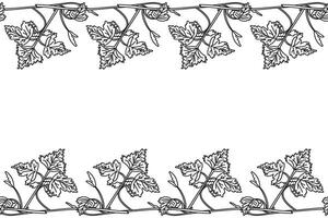 Line art botanical floral horizontal seamless border with grapevine pattern isolated on white background. Hand drawn outline vine plant with stem and leaves illustration. Graphic design element vector