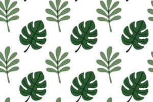 Seamless pattern with monstera and philodendron tropical leaves on white. Great for exotic print design, packaging, and surface decor vector