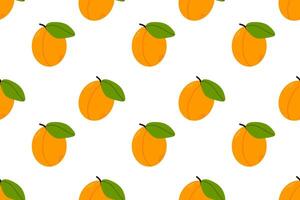 Apricot pattern design with leaves vector
