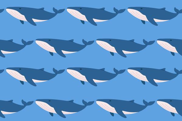 Seamless pattern with blue whales on dark background. Ideal for marine wildlife visuals, ocean decor and nature graphics