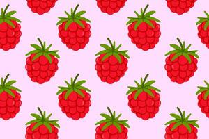 Pattern of red raspberries on pink vector