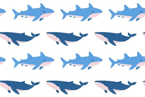 Mixed seamless pattern with sharks and orcas swimming together. Great for marine projects, childrens products and wallpaper