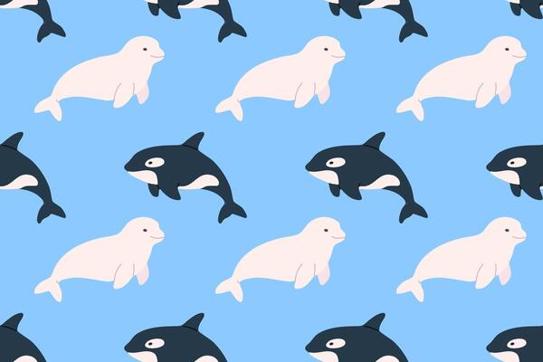 Seamless pattern with orcas and white seals on blue background. Perfect for polar animal themes, marine life and kids design