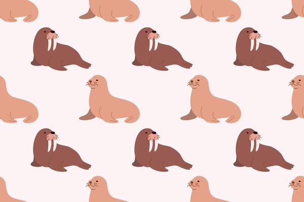 Cute seamless pattern with walruses resting on a white background. Ideal for arctic animal designs, kids projects and prints