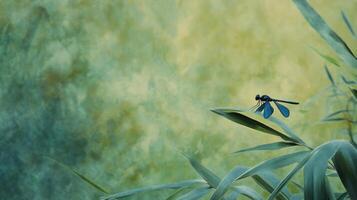 Tranquil dragonfly on bamboo leaves photo