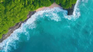 Aerial Beach Cove, Lush Jungle photo