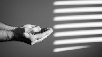 Hands cupped, sunlight, room photo