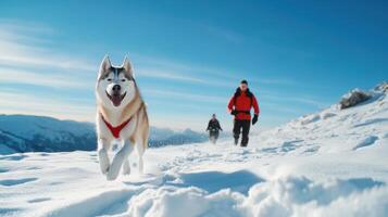Huskies Running Mountain Snowscape photo