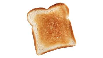 A single slice of toasted white bread with a golden brown color against a white background photo